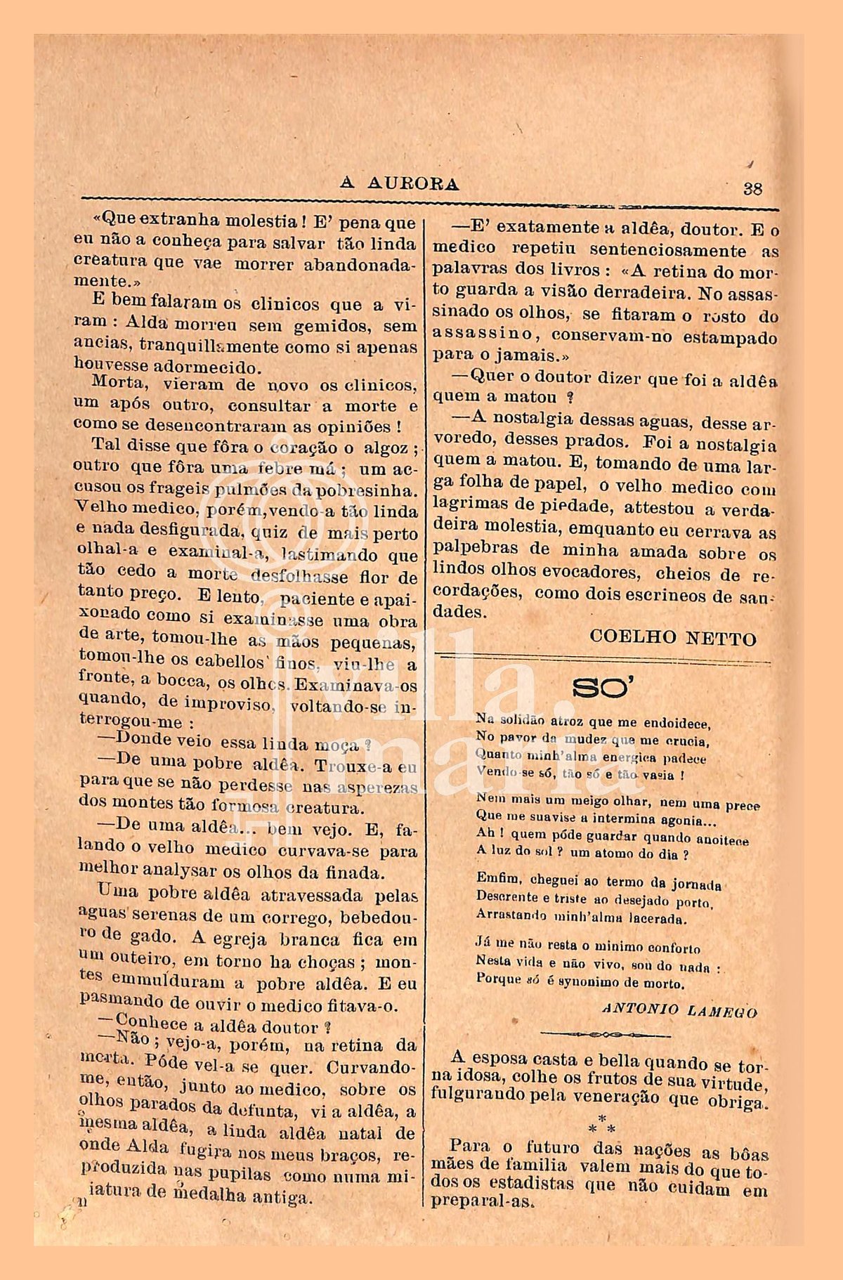 Página 459