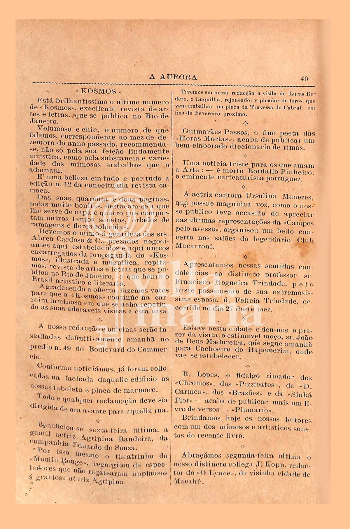 Página 461
