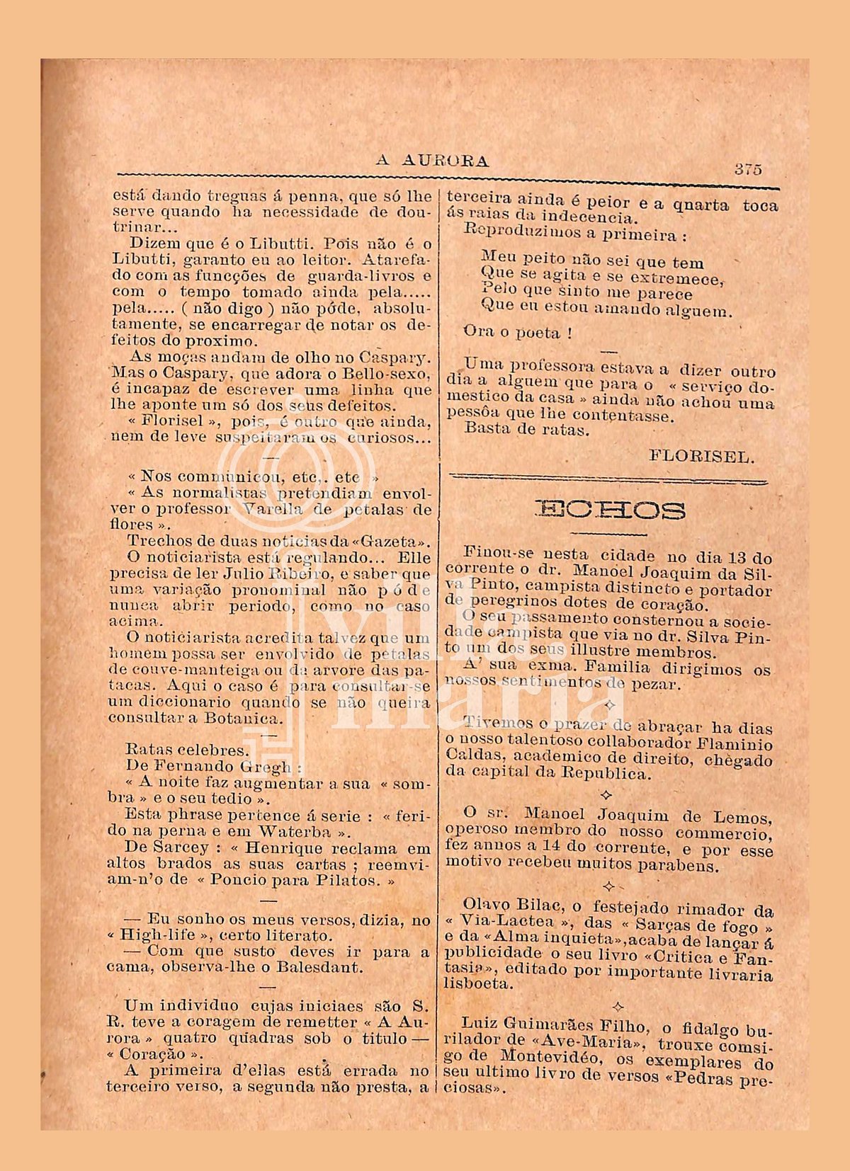 Página 385