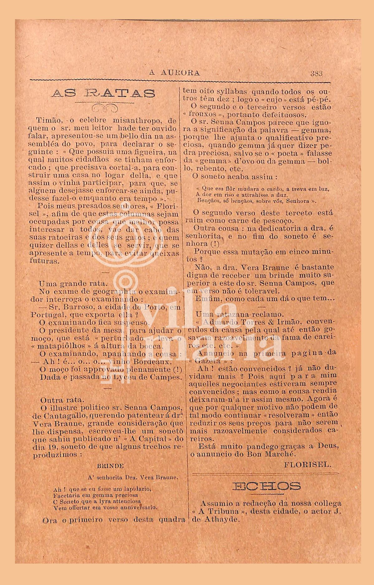 Página 393