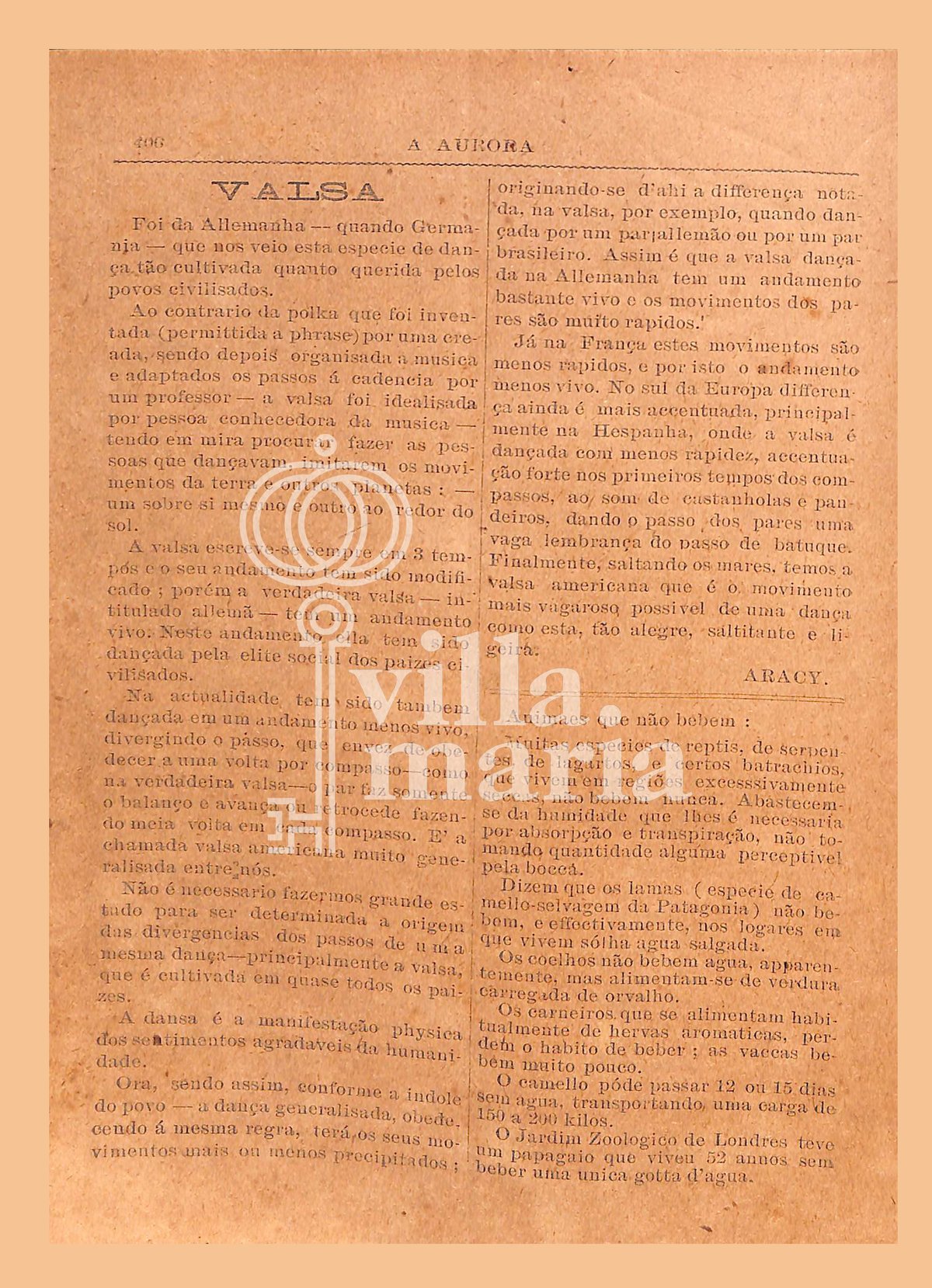 Página 416