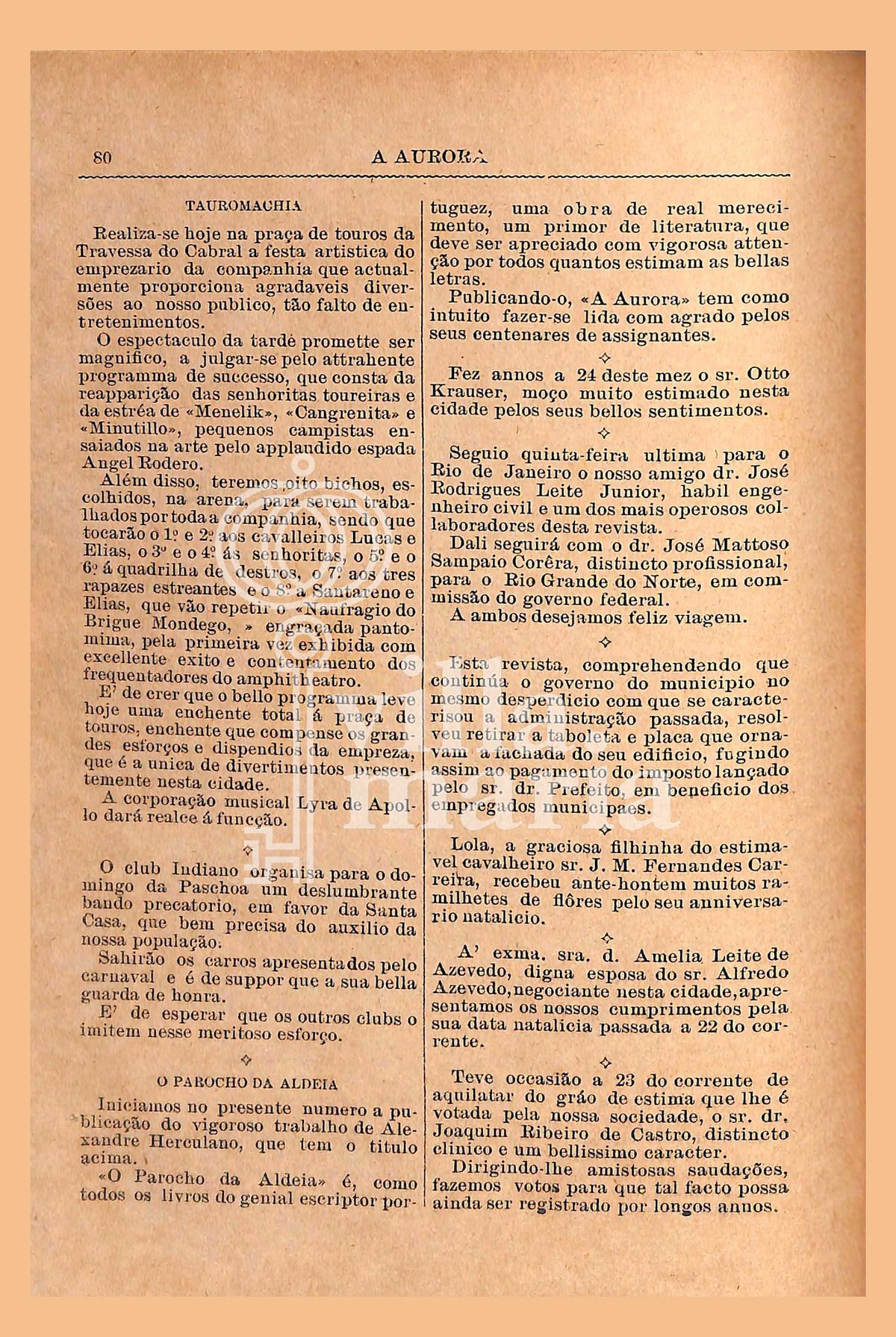 Página 82