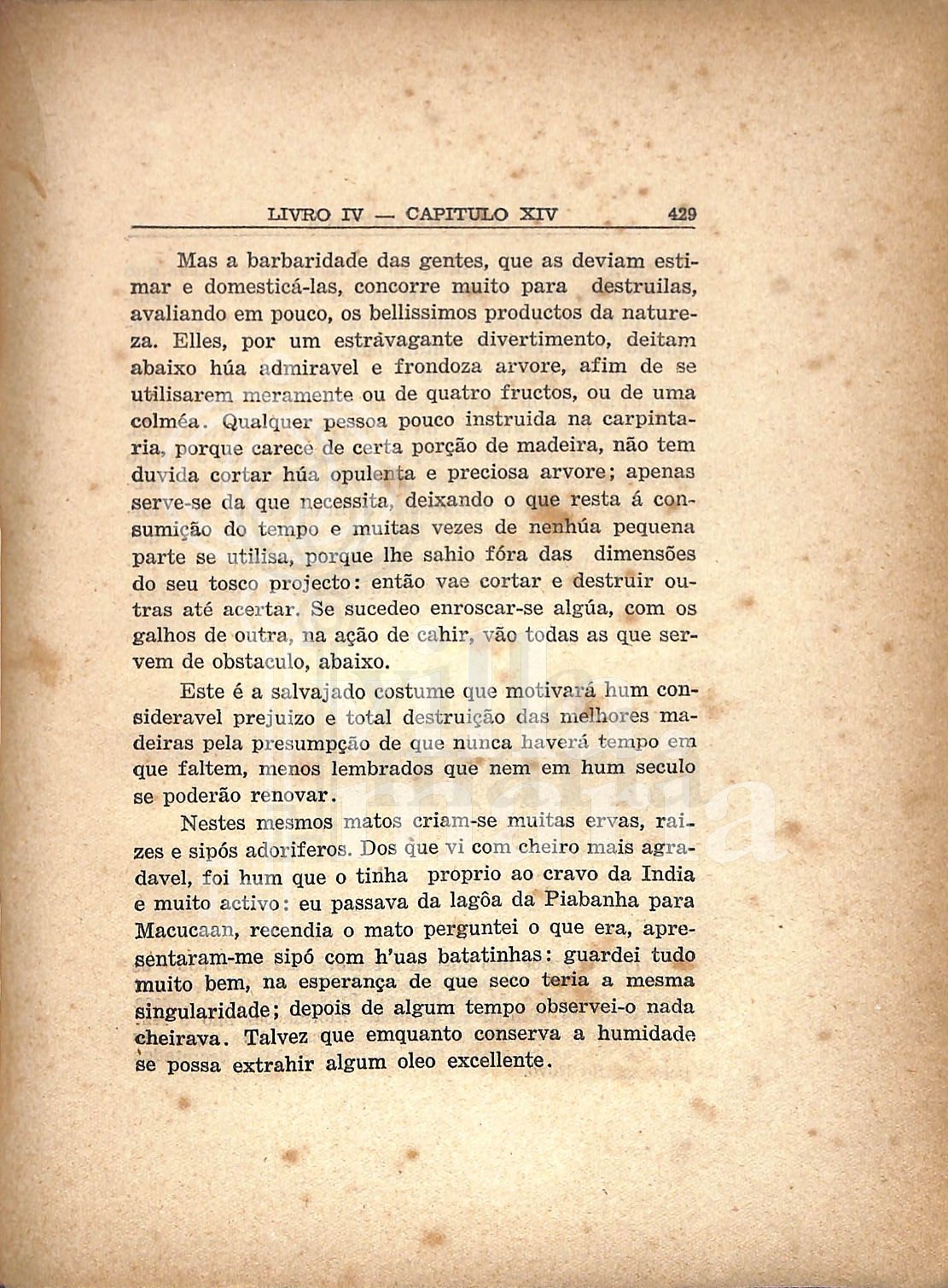 Página 427