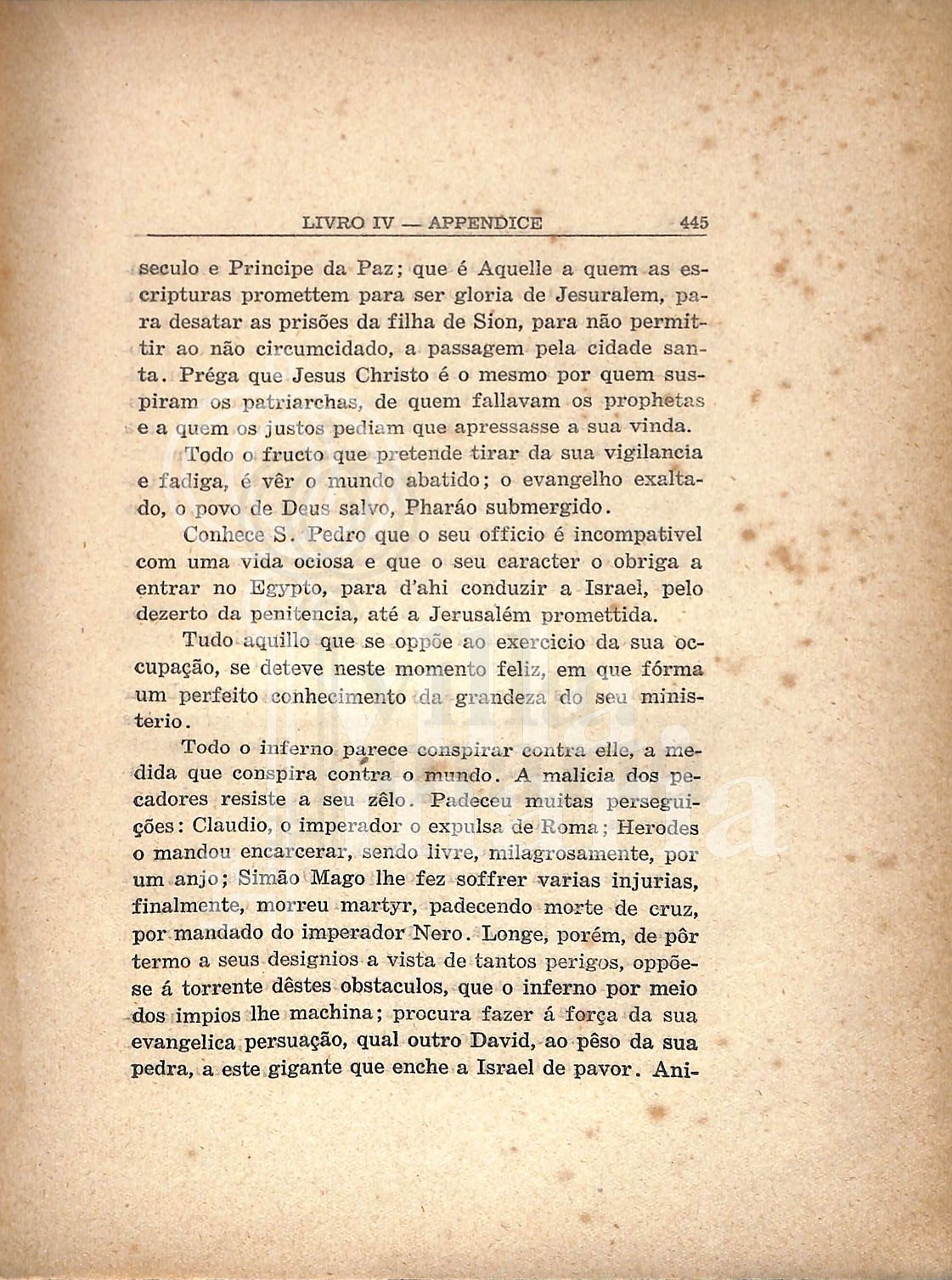 Página 443