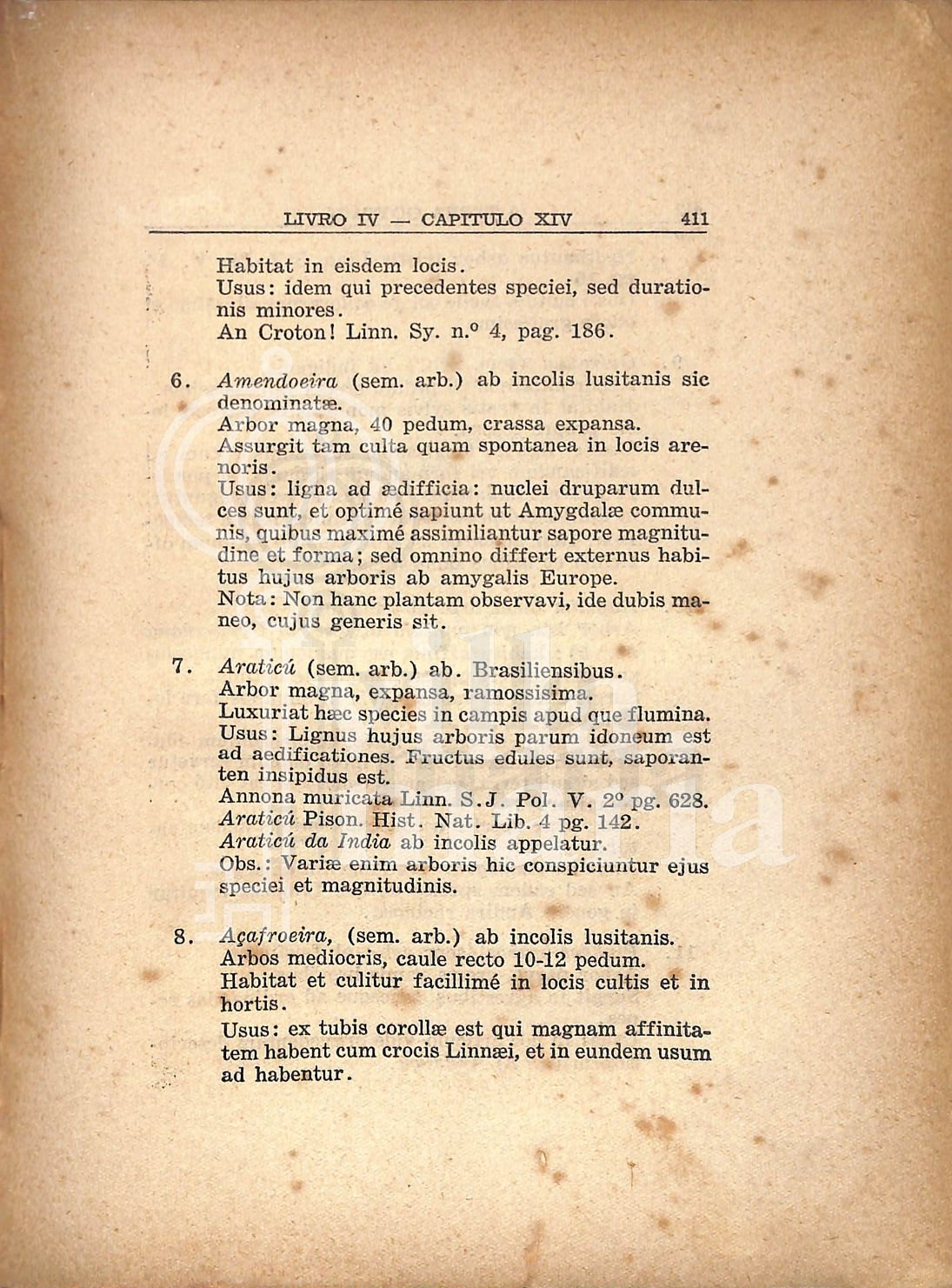 Página 409