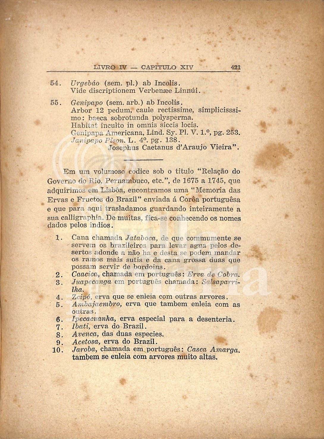 Página 419