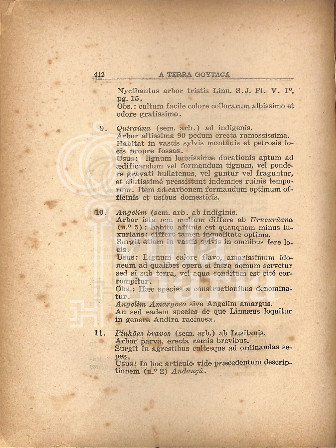 Página 410