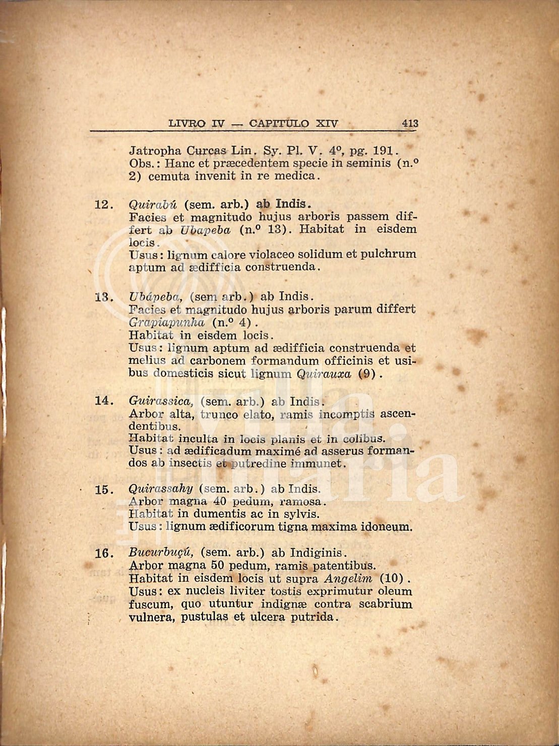 Página 411