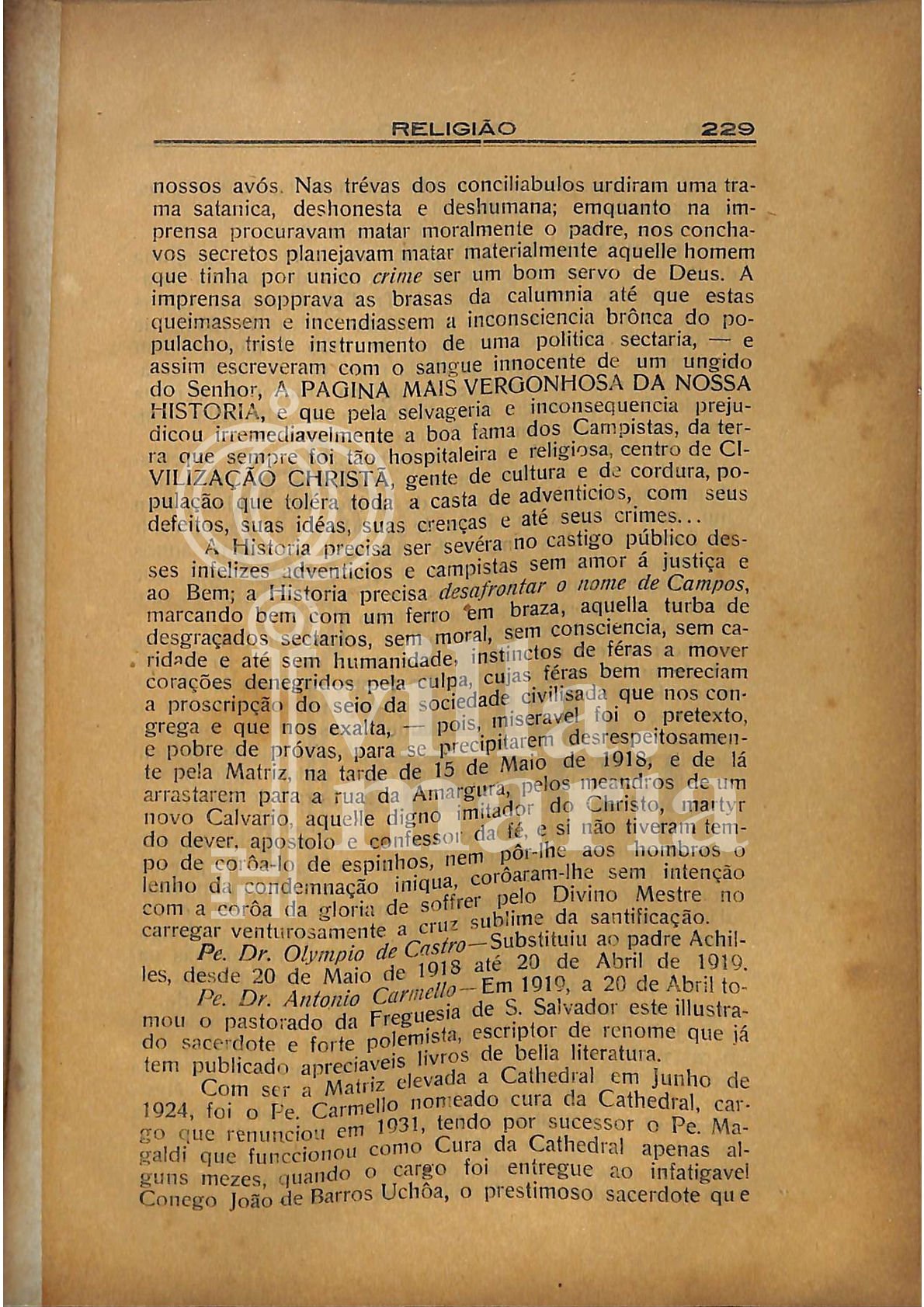 Página 231